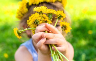 Bahçedeki çocuk elinde bir buket karahindiba ile. Seçici odaklanma. Çocuk.
