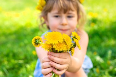 Bahçedeki çocuk elinde bir buket karahindiba ile. Seçici odaklanma. Çocuk.