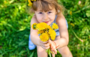 Bahçedeki çocuk elinde bir buket karahindiba ile. Seçici odaklanma. Çocuk.