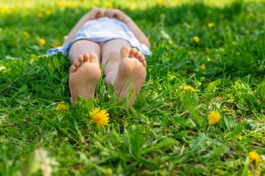 Karahindiba bahçesinde çocuk ayakları. Seçici odaklanma. çocuk,
