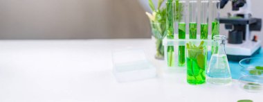 Laboratuvardaki bitkilerin araştırması. Seçici odaklanma. Doğa.