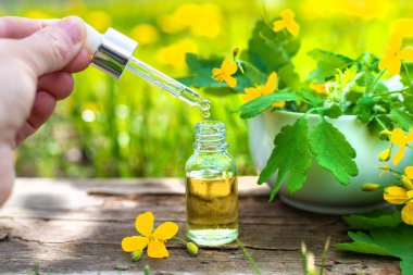 Şifalı bitkisel selandin özü ve diyet takviyeleri. Seçici odaklanma. Doğa.