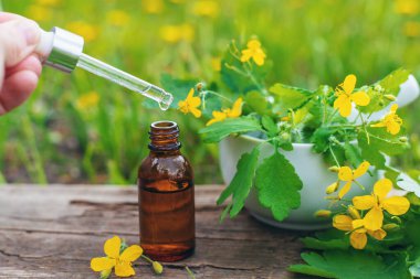 Şifalı bitkisel selandin özü ve diyet takviyeleri. Seçici odaklanma. Doğa.