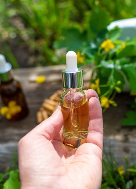 Şifalı bitkisel selandin özü ve diyet takviyeleri. Seçici odaklanma. Doğa.