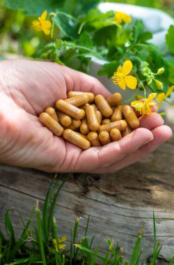 Şifalı bitkisel selandin özü ve diyet takviyeleri. Seçici odaklanma. Doğa.