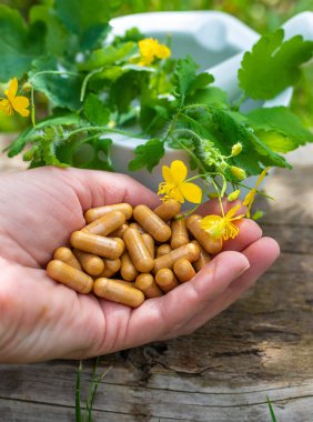 Şifalı bitkisel selandin özü ve diyet takviyeleri. Seçici odaklanma. Doğa.