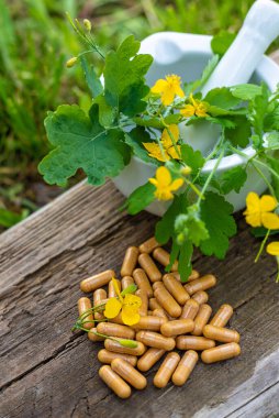 Şifalı bitkisel selandin özü ve diyet takviyeleri. Seçici odaklanma. Doğa.