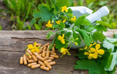 Şifalı bitkisel selandin özü ve diyet takviyeleri. Seçici odaklanma. Doğa.