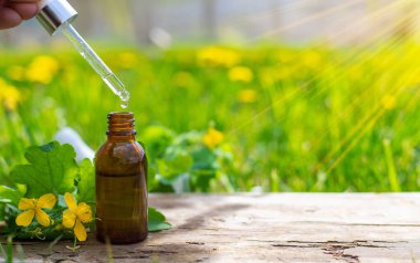 Şifalı bitkisel selandin özü ve diyet takviyeleri. Seçici odaklanma. Doğa.