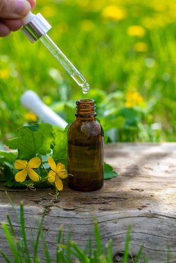 Şifalı bitkisel selandin özü ve diyet takviyeleri. Seçici odaklanma. Doğa.