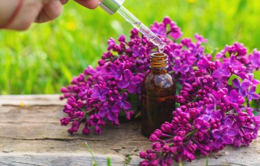 Leylak çiçeği özü ve diyet takviyeleri. Seçici odaklanma. Doğa. kapsüller,