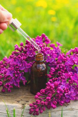 Leylak çiçeği özü ve diyet takviyeleri. Seçici odaklanma. Doğa. kapsüller,