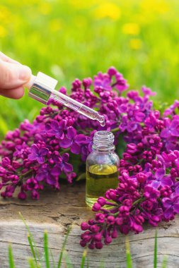 Leylak çiçeği özü ve diyet takviyeleri. Seçici odaklanma. Doğa. kapsüller,