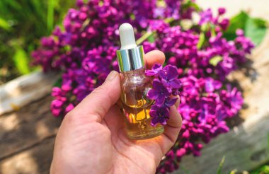 Leylak çiçeği özü ve diyet takviyeleri. Seçici odaklanma. Doğa. kapsüller,