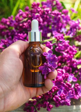 Leylak çiçeği özü ve diyet takviyeleri. Seçici odaklanma. Doğa. kapsüller,