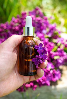 Leylak çiçeği özü ve diyet takviyeleri. Seçici odaklanma. Doğa. kapsüller,