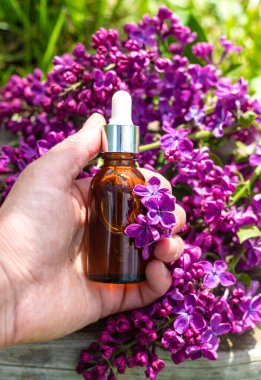 Leylak çiçeği özü ve diyet takviyeleri. Seçici odaklanma. Doğa. kapsüller,