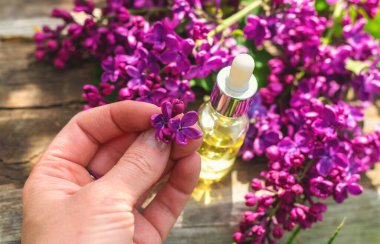 Leylak çiçeği özü ve diyet takviyeleri. Seçici odaklanma. Doğa. kapsüller,