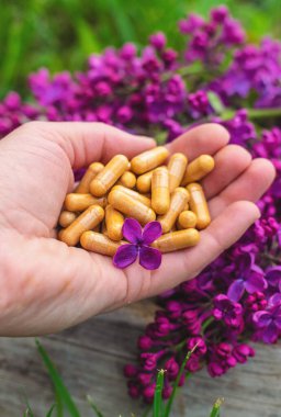 Leylak çiçeği özü ve diyet takviyeleri. Seçici odaklanma. Doğa. kapsüller,
