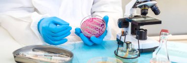 Laboratuvardaki petri kabındaki bakterileri inceleyin. Seçici odaklanma. Doğa.