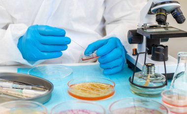 Laboratuvardaki petri kabındaki bakterileri inceleyin. Seçici odaklanma. Doğa.