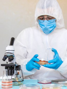 Laboratuvardaki petri kabındaki bakterileri inceleyin. Seçici odaklanma. Doğa.