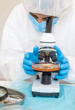 Laboratuvardaki petri kabındaki bakterileri inceleyin. Seçici odaklanma. Doğa.