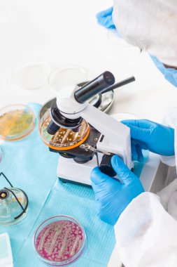 Laboratuvardaki petri kabındaki bakterileri inceleyin. Seçici odaklanma. Doğa.