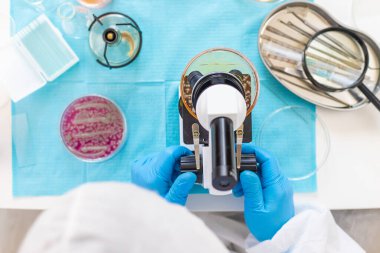 Laboratuvardaki petri kabındaki bakterileri inceleyin. Seçici odaklanma. Doğa.