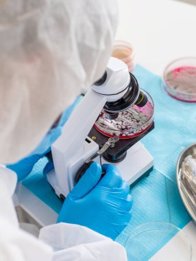 Laboratuvardaki petri kabındaki bakterileri inceleyin. Seçici odaklanma. Doğa.