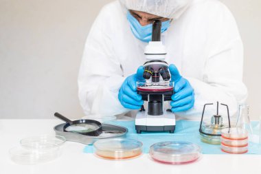 Laboratuvardaki petri kabındaki bakterileri inceleyin. Seçici odaklanma. Doğa.