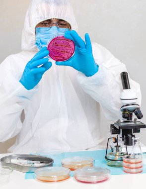 Laboratuvardaki petri kabındaki bakterileri inceleyin. Seçici odaklanma. Doğa.