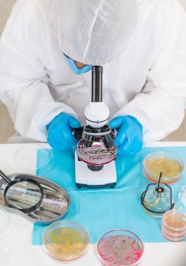 Laboratuvardaki petri kabındaki bakterileri inceleyin. Seçici odaklanma. Doğa.