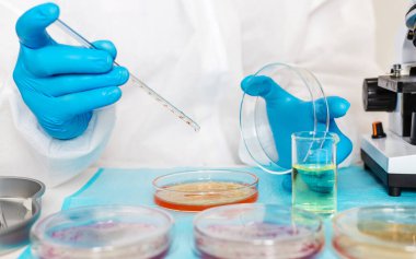 Laboratuvardaki petri kabındaki bakterileri inceleyin. Seçici odaklanma. Doğa.