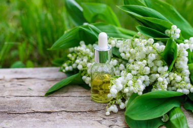 Vadi Zambağı bir şişede özütüyor. Seçici odaklanma. Doğa.