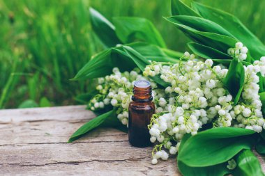 Vadi Zambağı bir şişede özütüyor. Seçici odaklanma. Doğa.