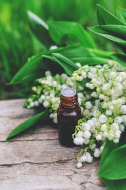 Vadi Zambağı bir şişede özütüyor. Seçici odaklanma. Doğa.