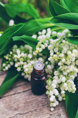 Vadi Zambağı bir şişede özütüyor. Seçici odaklanma. Doğa.