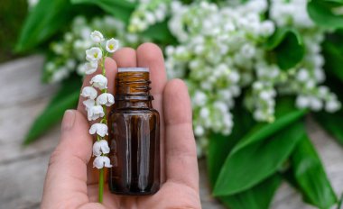 Vadi Zambağı bir şişede özütüyor. Seçici odaklanma. Doğa.