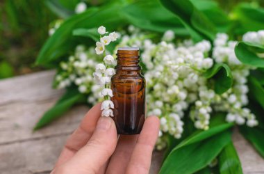 Vadi Zambağı bir şişede özütüyor. Seçici odaklanma. Doğa.