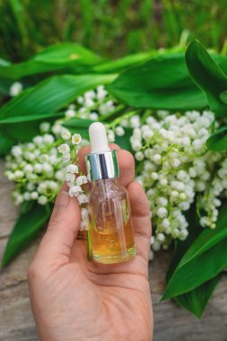 Vadi Zambağı bir şişede özütüyor. Seçici odaklanma. Doğa.