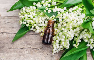 Vadi Zambağı bir şişede özütüyor. Seçici odaklanma. Doğa.