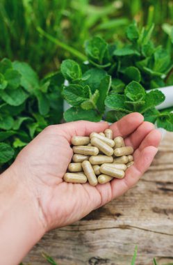 Nane özü, temel yağ ve takviyeler. Seçici odaklanma. Doğa.
