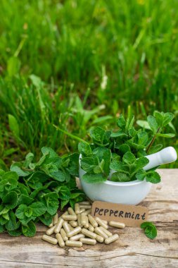 Nane özü, temel yağ ve takviyeler. Seçici odaklanma. Doğa.
