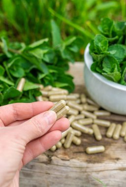 Nane özü, temel yağ ve takviyeler. Seçici odaklanma. Doğa.