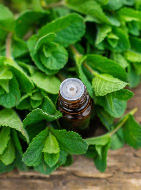 Nane özü, temel yağ ve takviyeler. Seçici odaklanma. Doğa.