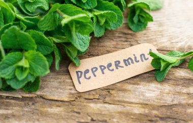 Nane özü, temel yağ ve takviyeler. Seçici odaklanma. Doğa.