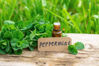 Nane özü, temel yağ ve takviyeler. Seçici odaklanma. Doğa.