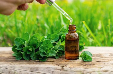 Nane özü, temel yağ ve takviyeler. Seçici odaklanma. Doğa.