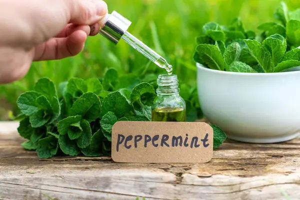 Nane özü, temel yağ ve takviyeler. Seçici odaklanma. Doğa.